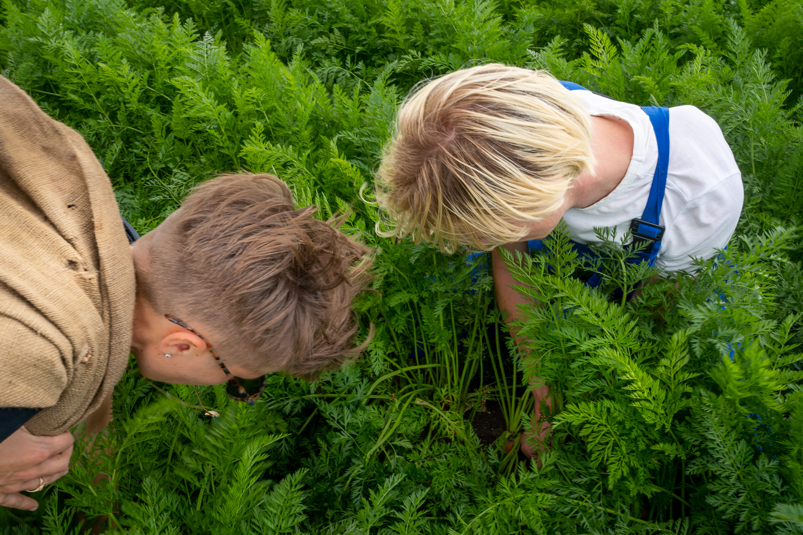 Image of two students in a root field