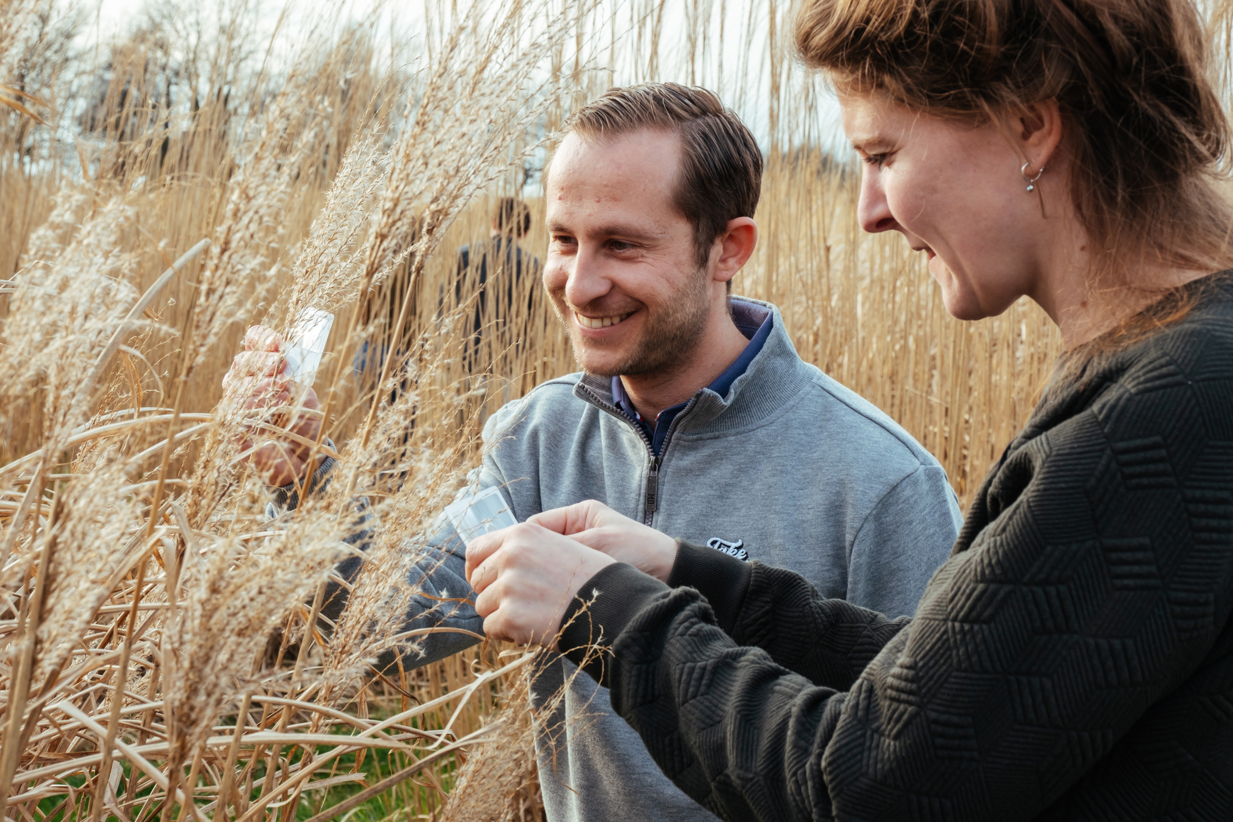 Afbeelding voor: trainingen op maat