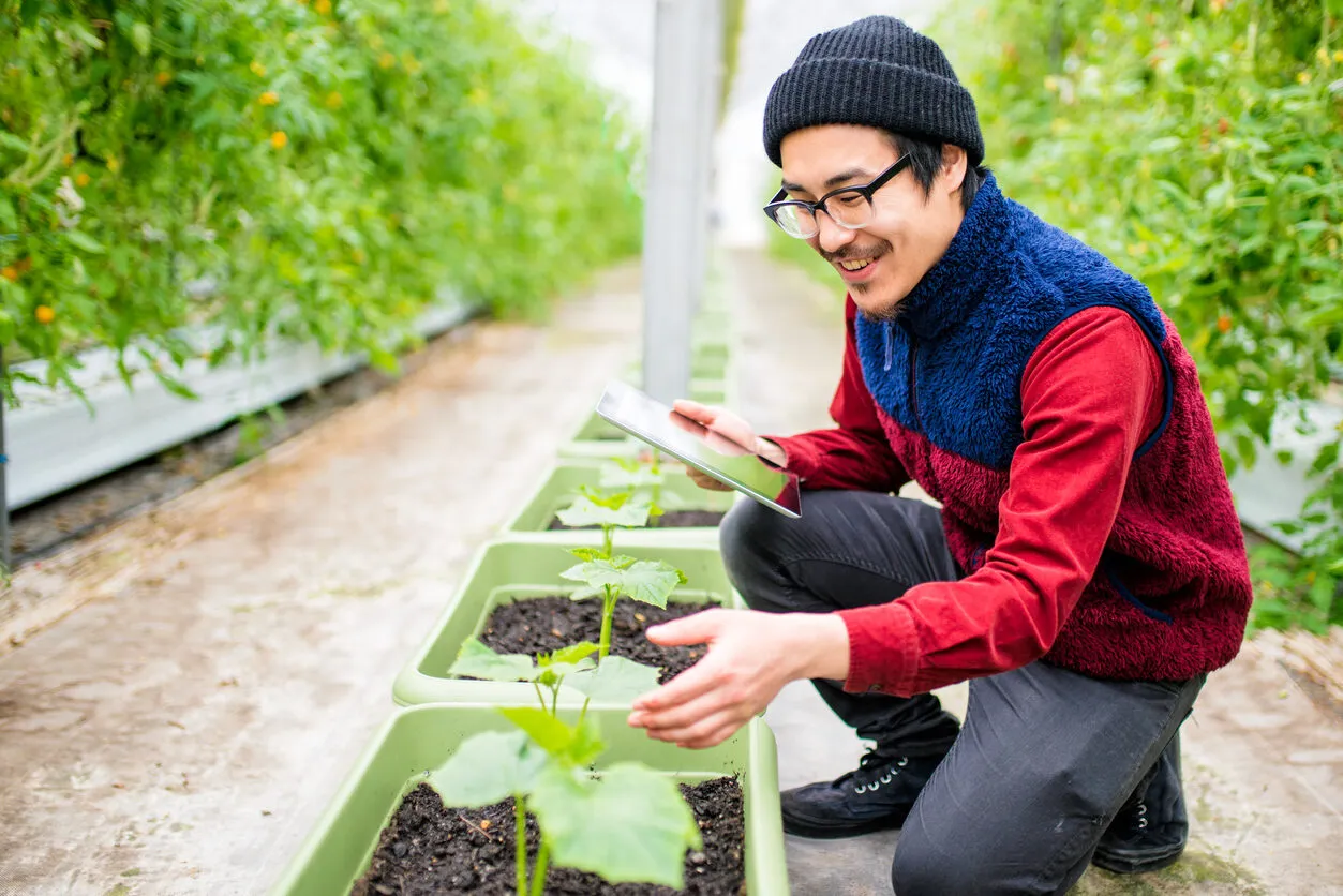 Afbeelding voor: Uit het portfolio: Food Forward